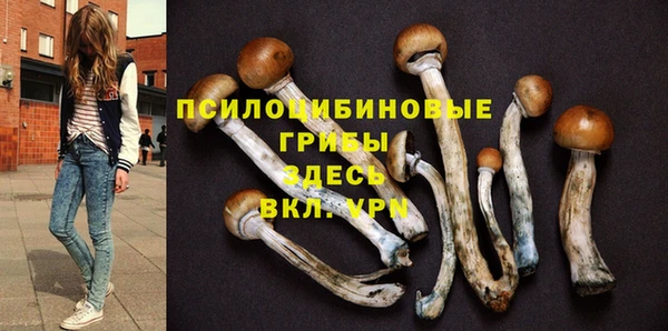 альфа пвп Киреевск