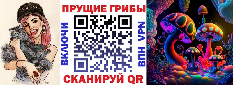 Псилоцибиновые грибы Magic Shrooms  Купить где  Богданович 
